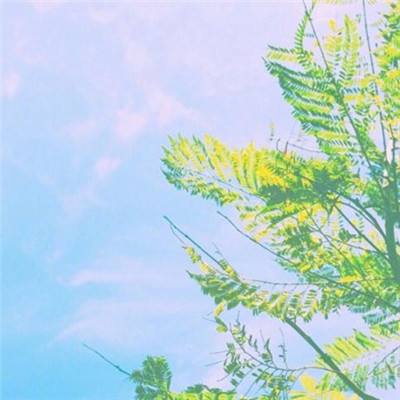 弓箭手大战僵尸领红包版下载