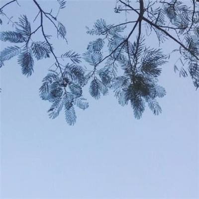 大秦之帝国崛起果盘版手游下载